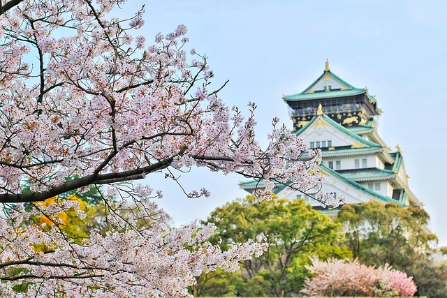 Cherry Blossom 2