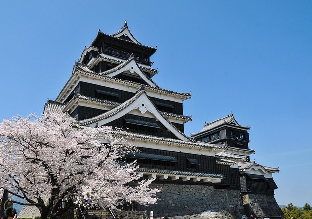 Cherry Blossom