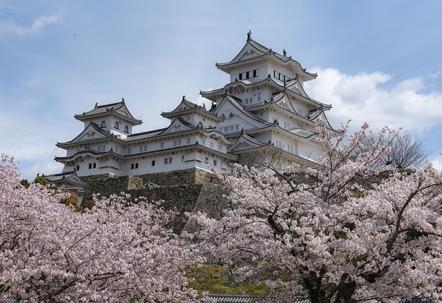Heritage Cherry Blossom